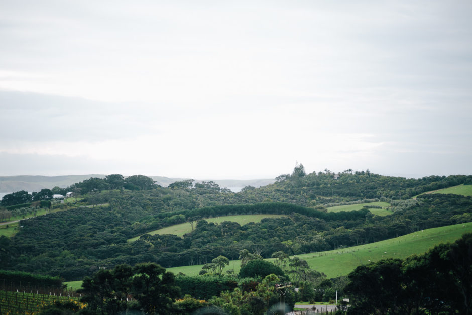 waiheke engagement photography