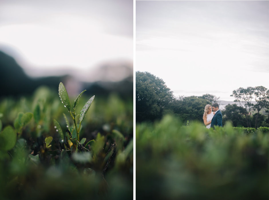waiheke engagement photography