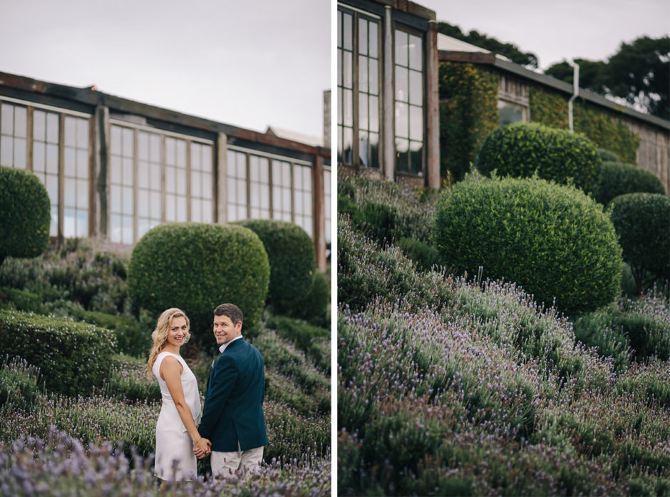 waiheke engagement photography