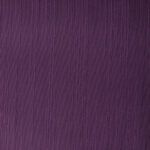 Asahi-Aubergine