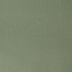 Asahi-Olive