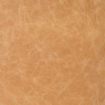 PLeather Biscotti