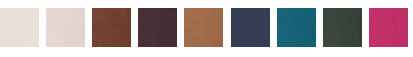 classic-leather-swatch